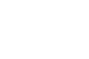 Spribe logo